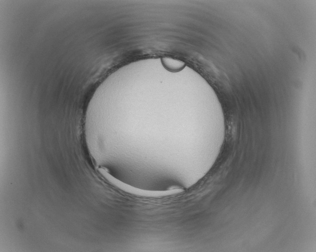 X0000115321012200911231346