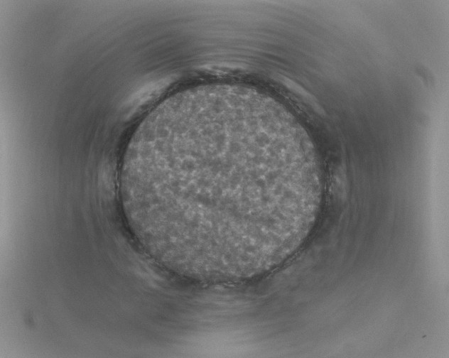 X0000115321014200911231346