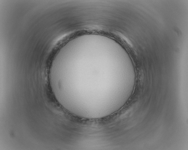 X0000115321016200911231346