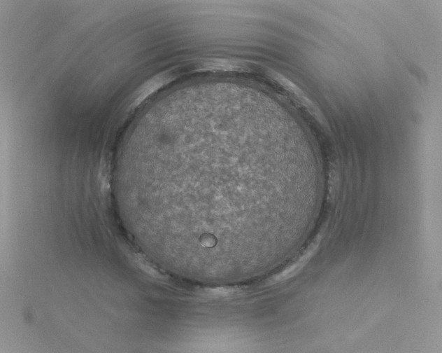 X0000115321017200911231346