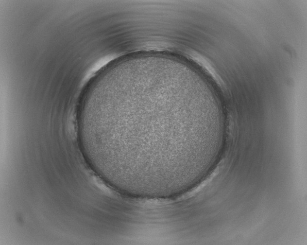 X0000115321018200911231346