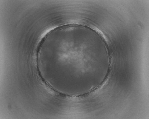 X0000115321019200911231346