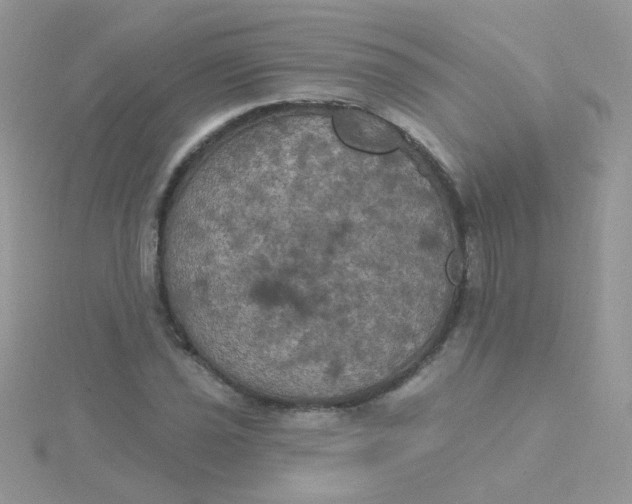 X0000115321021200911231346