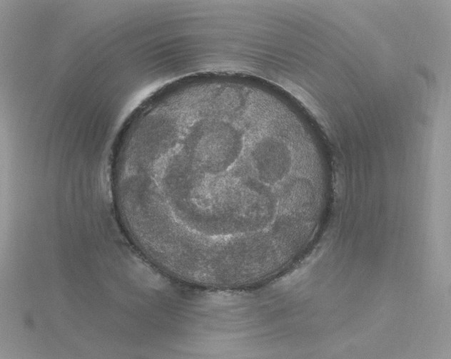 X0000115321022200911231346