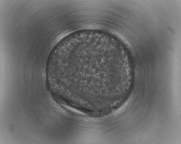 X0000115321025200911231346