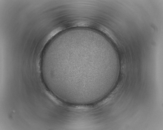 X0000115321026200911231346