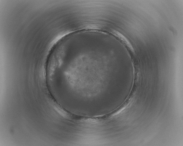 X0000115321027200911231346