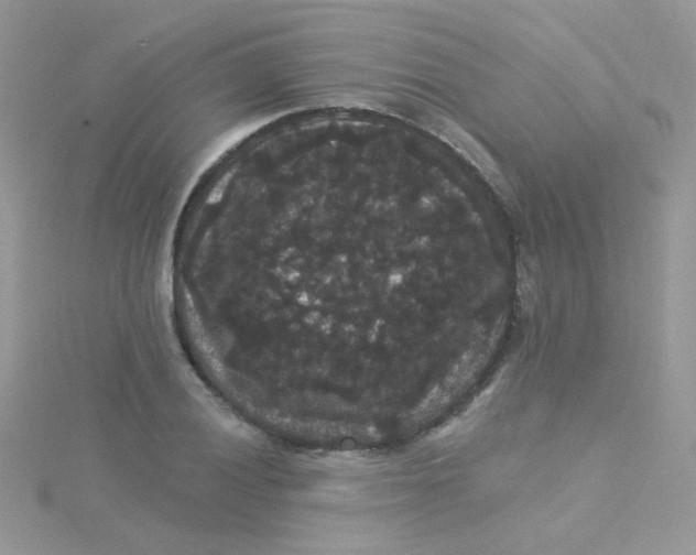 X0000115321028200911231346