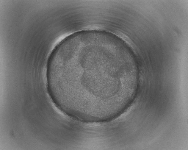 X0000115321030200911231346