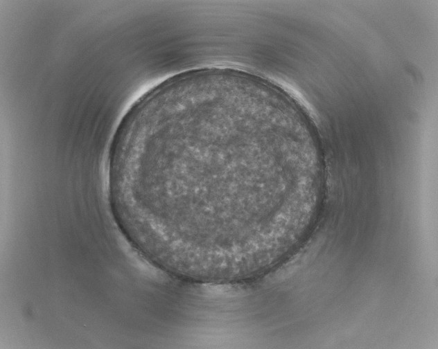 X0000115321032200911231346