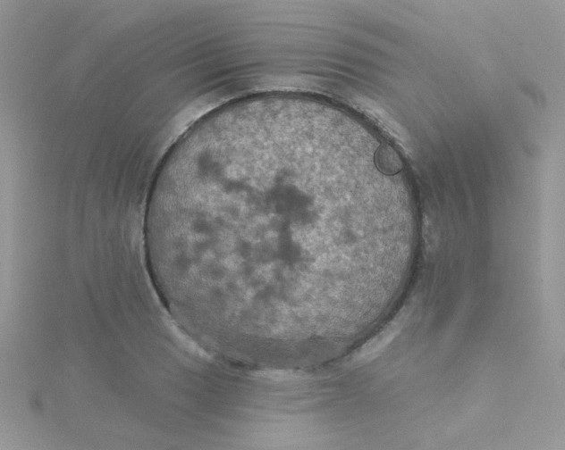 X0000115321033200911231346