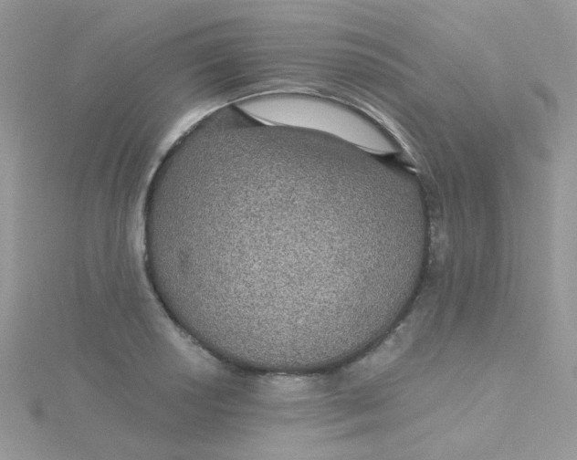 X0000115321034200911231346