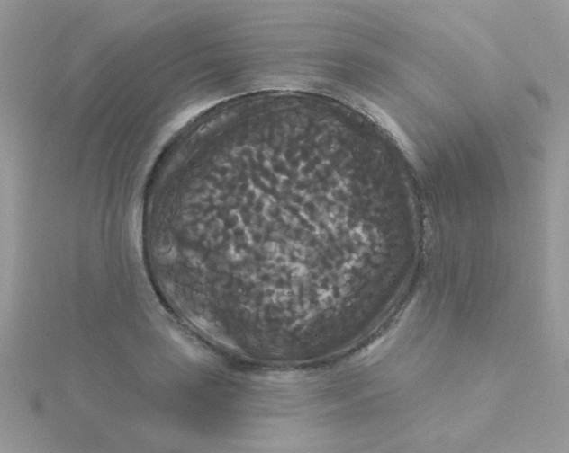 X0000115321035200911231346