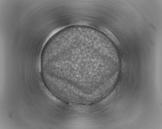 X0000115321036200911231346