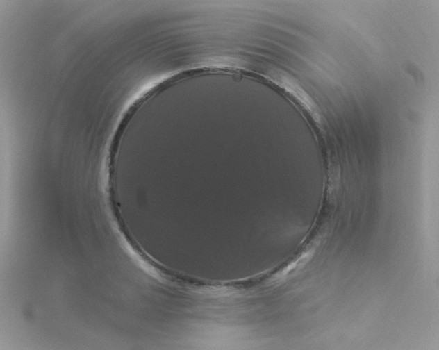 X0000115321037200911231346