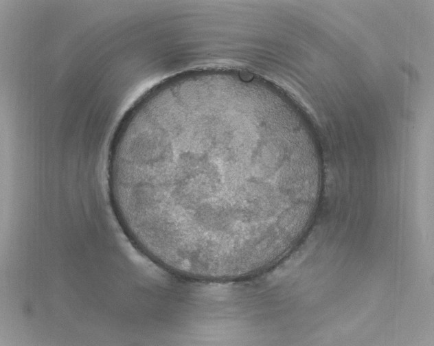 X0000115321038200911231346