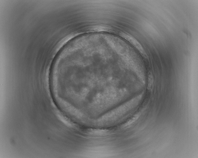 X0000115321039200911231346