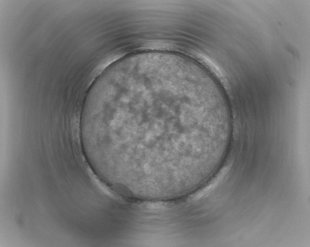 X0000115321041200911231346