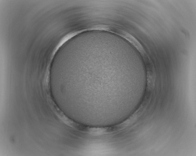 X0000115321044200911231346