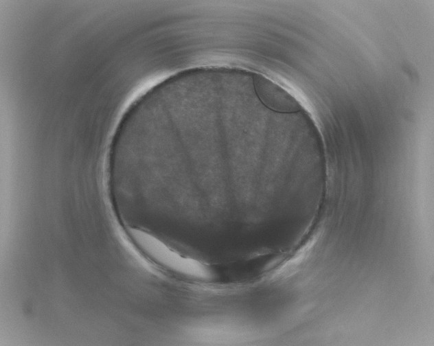 X0000115321045200911231346