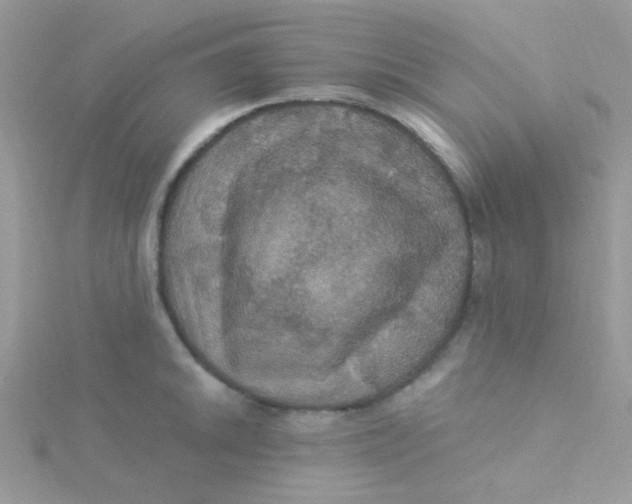 X0000115321046200911231346