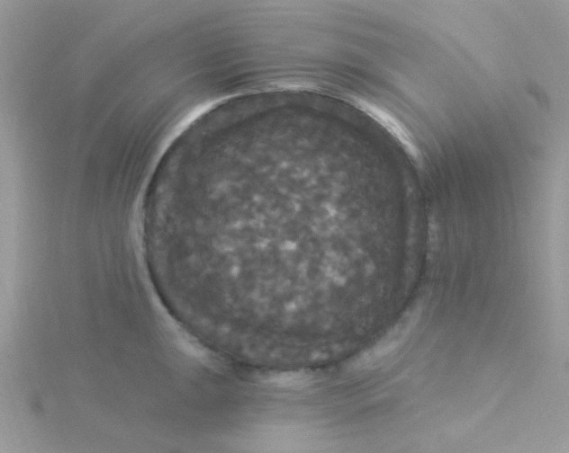 X0000115321047200911231346