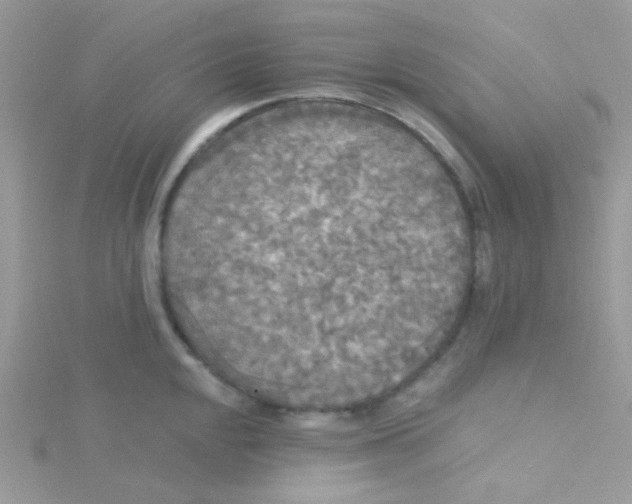 X0000115321048200911231346