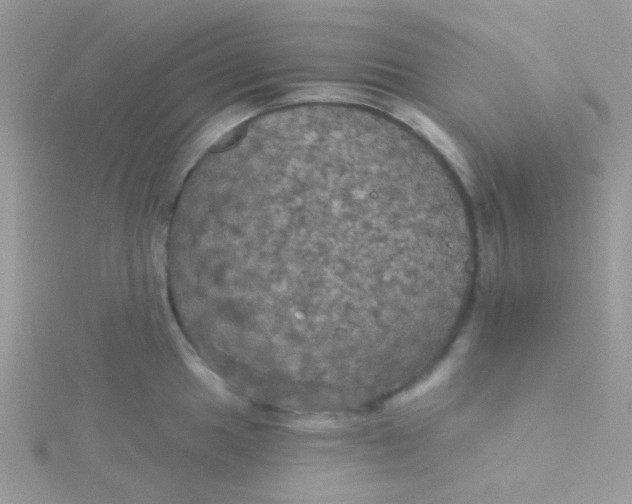 X0000115321049200911231346