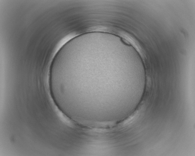 X0000115321050200911231346