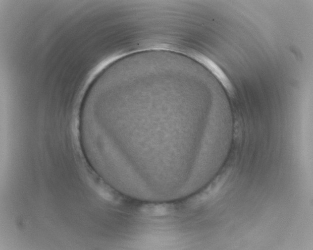 X0000115321051200911231346