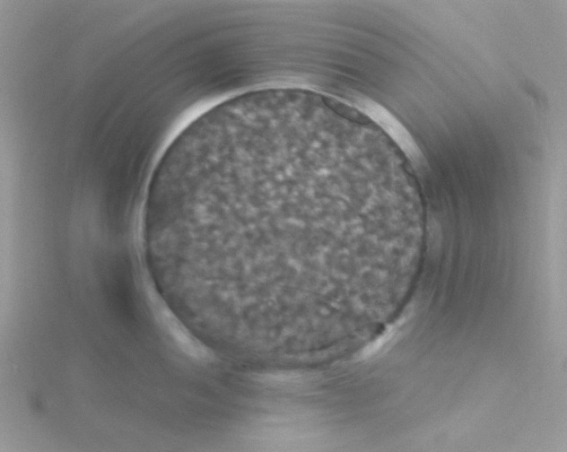 X0000115321052200911231346