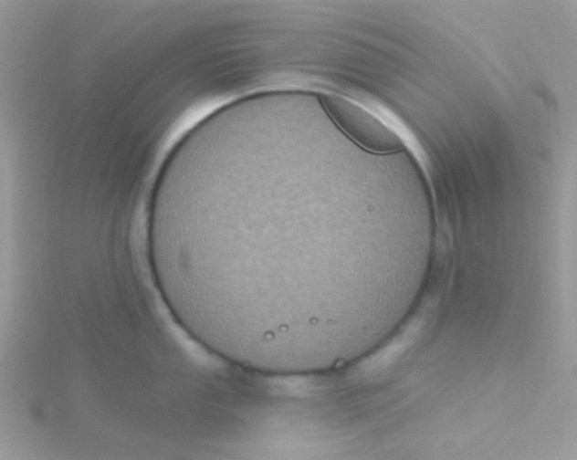 X0000115321053200911231346