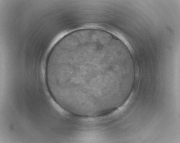 X0000115321054200911231346