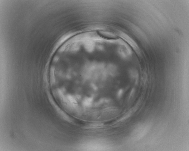 X0000115321055200911231346