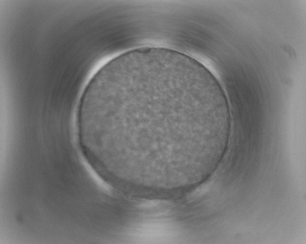 X0000115321056200911231346