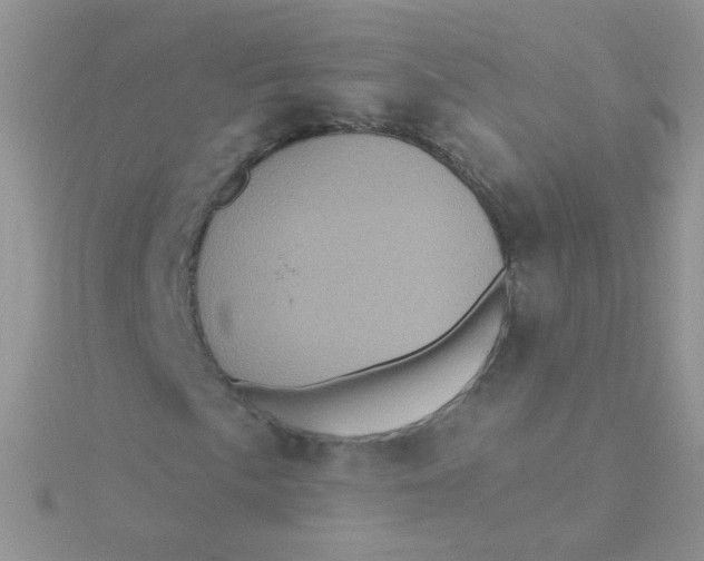 X0000115321057200911231346