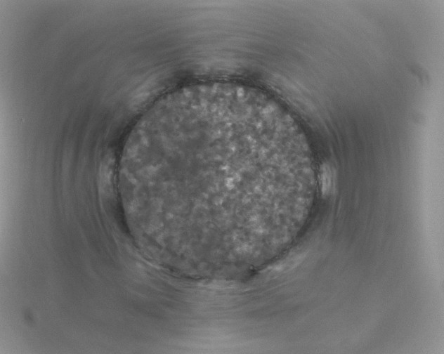 X0000115321059200911231346