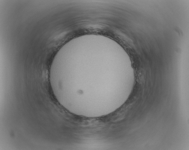 X0000115321061200911231346