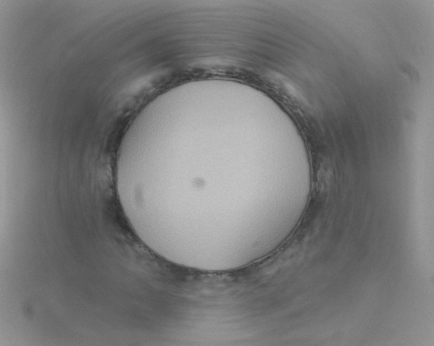 X0000115321062200911231346