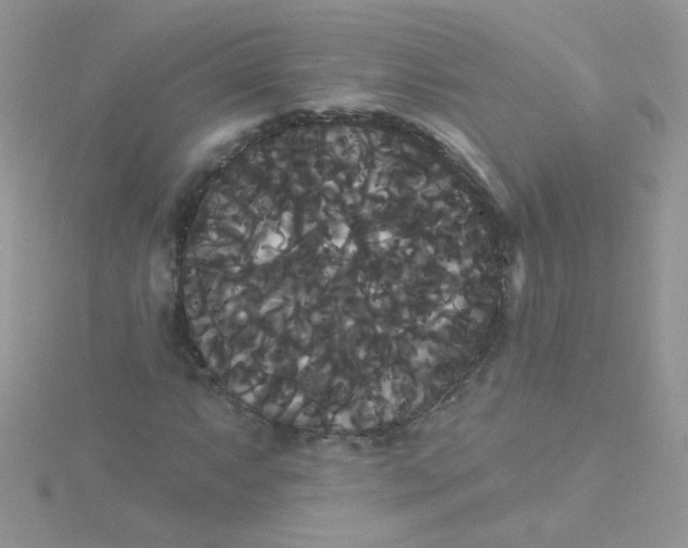 X0000115321063200911231346