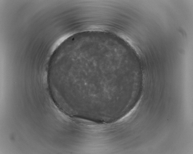 X0000115321066200911231346