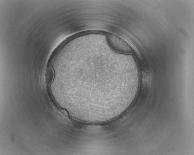 X0000115321068200911231345