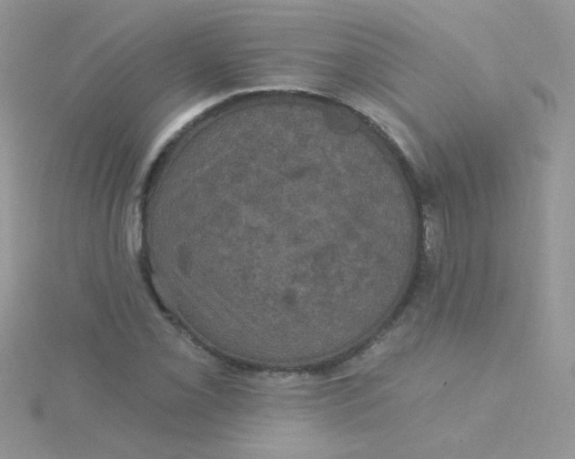 X0000115321069200911231345