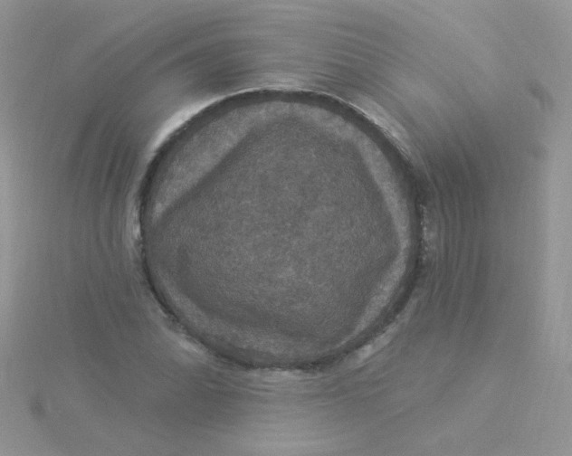 X0000115321070200911231345