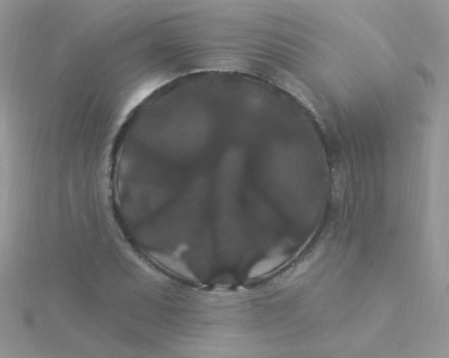 X0000115321071200911231345