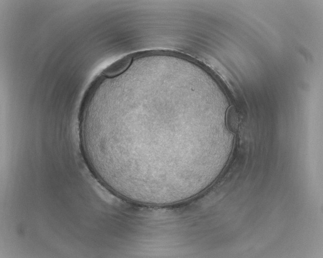 X0000115321072200911231345