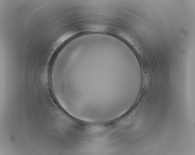 X0000115321074200911231345