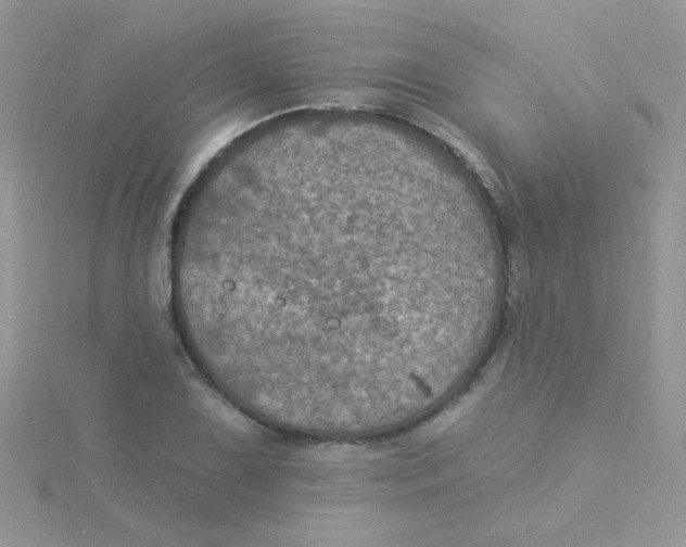 X0000115321075200911231345