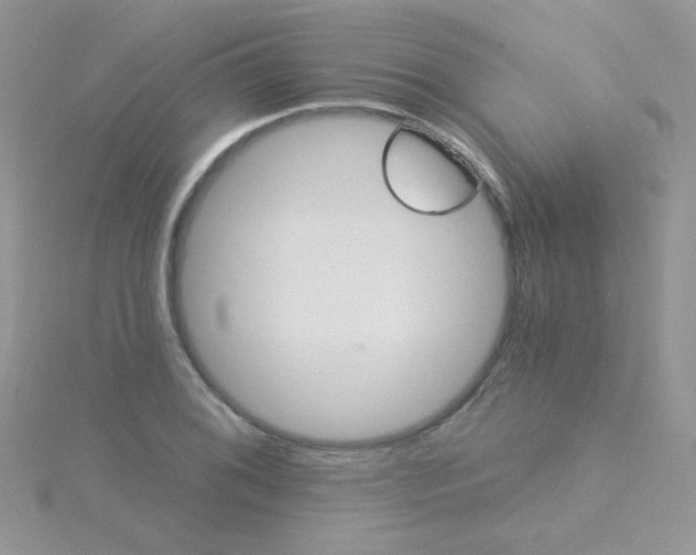 X0000115321076200911231345