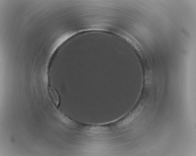 X0000115321077200911231345